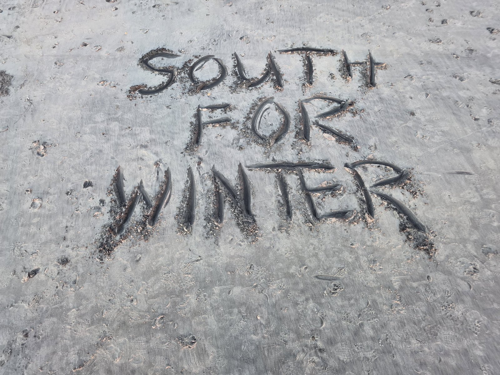 The words SOUTH FOR WINTER carved into wet gray sand